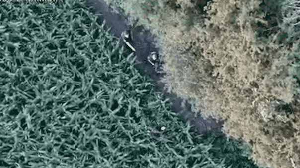 WATCH: Deputies hunt wanted man through cornfield after high-speed chase caught on camera